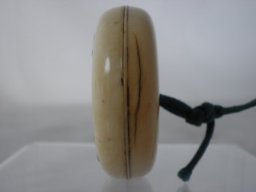 pb110029