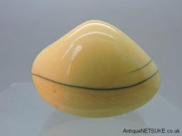 DSCN8072