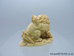 DSCN5570