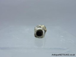 DSCN2339