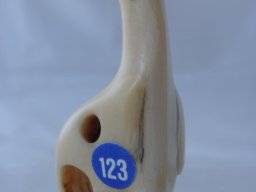 pc170016