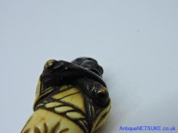 DSCN7019