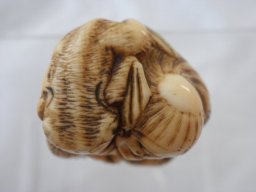pb020035