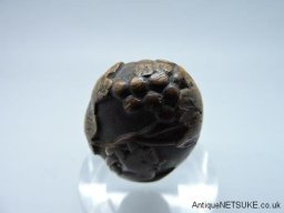 DSCN8364