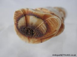p2040026