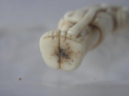 pb060089
