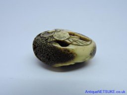 DSCN0446