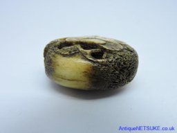 DSCN0447