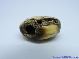 DSCN0448