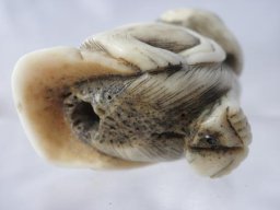 pb060062