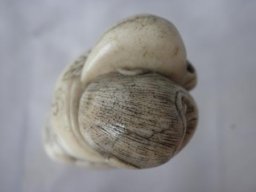 pb060063
