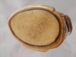 p8220016