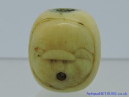 RSCN0288