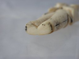 p4270390