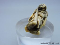 DSCN8253