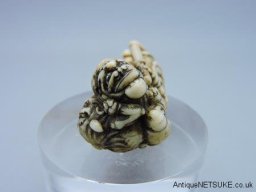 DSCN8254